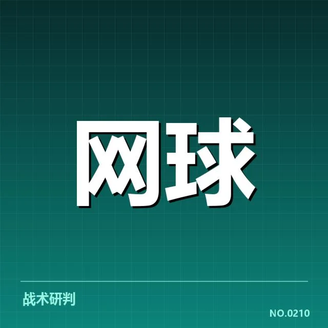 已确认的排名排名及主要竞争者