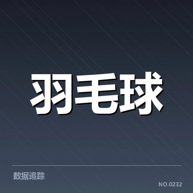 林丹退役比赛中确认的关键判罚事实